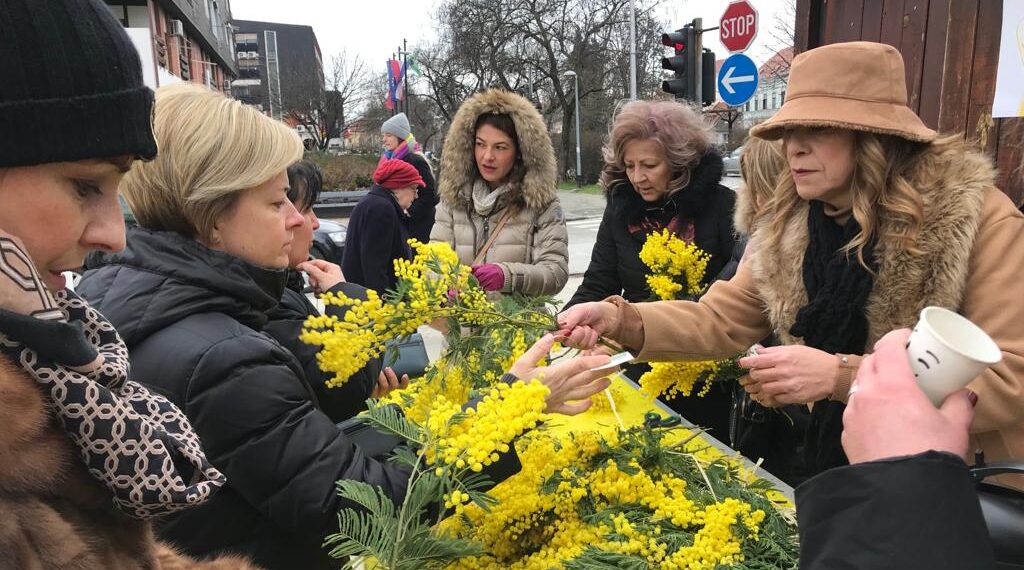 velikogoričani mimoze