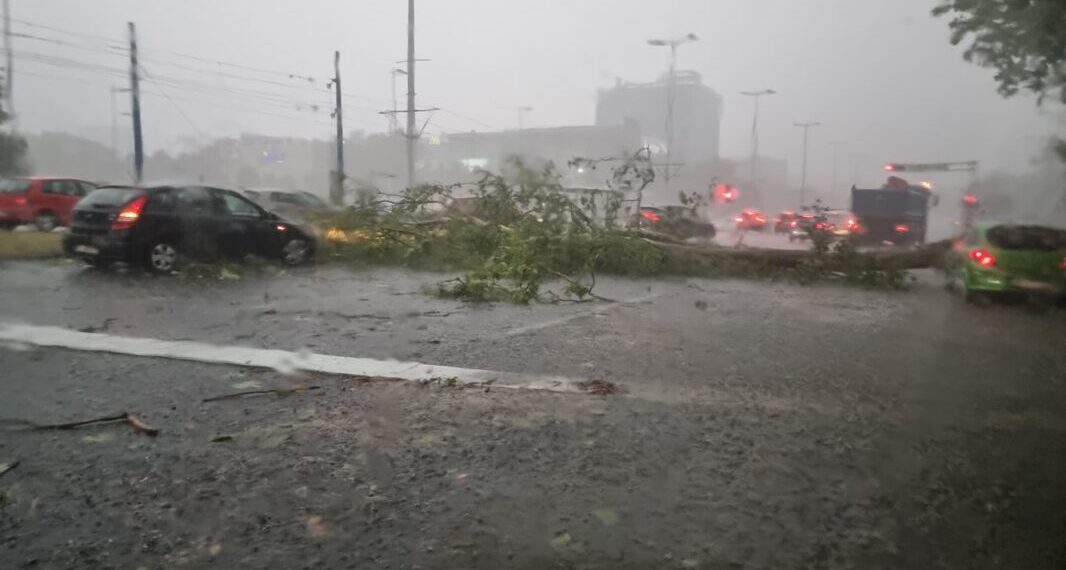 posljedice katastrofalne oluje