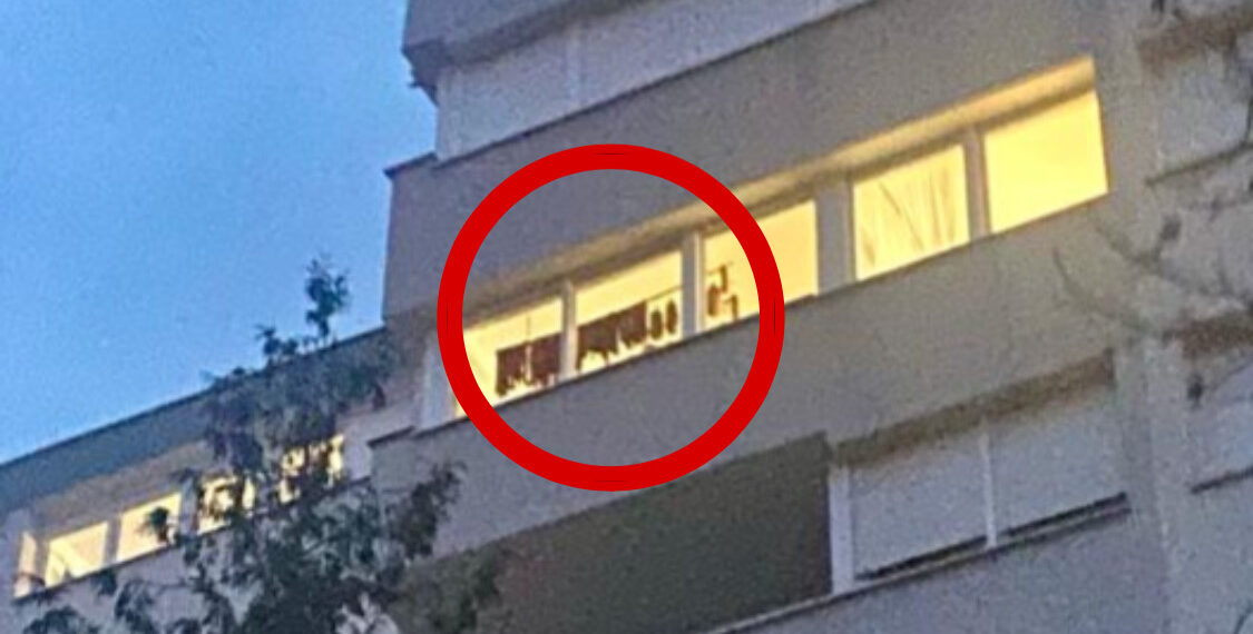 snimila čitateljica