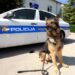policijski pas
