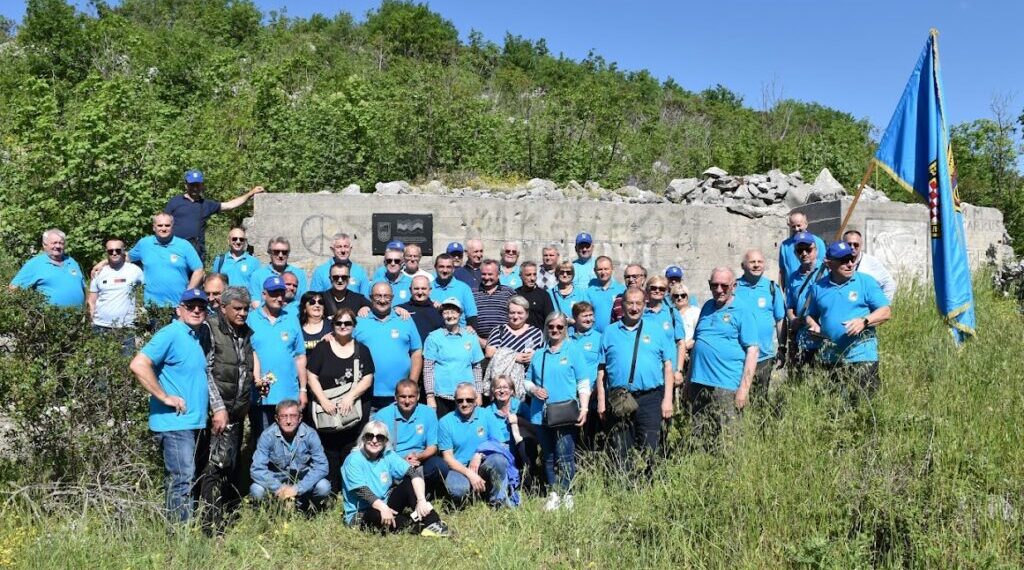 sistematske preglede