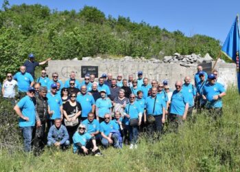 sistematske preglede