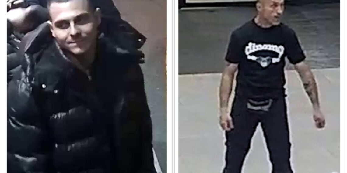 nasilničkog ponašanja