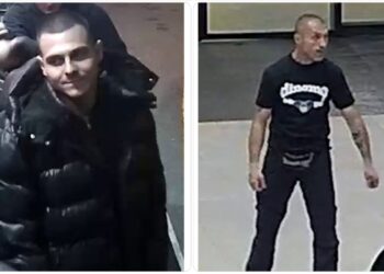 nasilničkog ponašanja