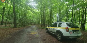 nepoznate ženske osobe