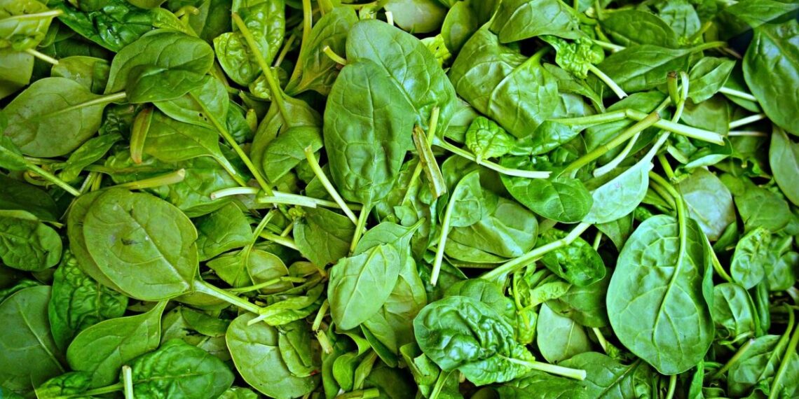 špinat