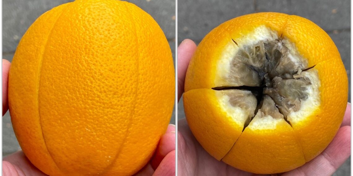 nejestive naranče iz konzuma