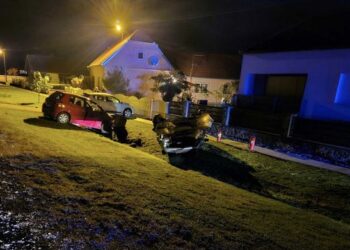 policijska službenica