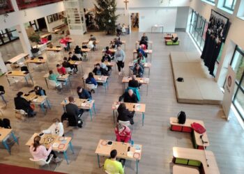 Mladi Goričani Karlo Vlahović i Jakov Sičić osvojili medalje na jakom Go turniru