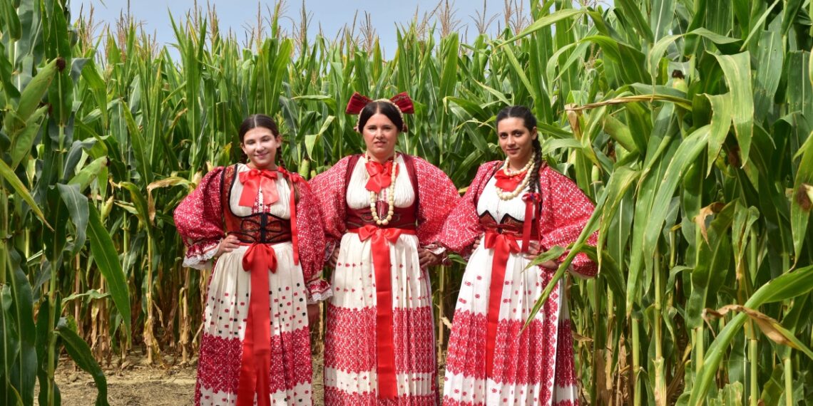 Glasajte za Posavski kukuruzni labirint i pomozite da dobije nagradu