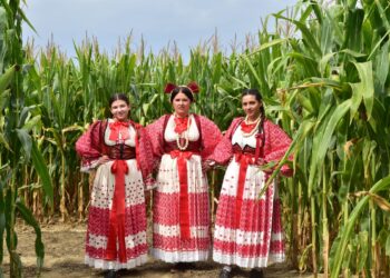 Glasajte za Posavski kukuruzni labirint i pomozite da dobije nagradu