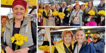 karcinom dojke