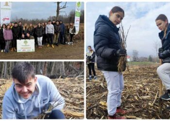 Vrijedni i ustrajni volonteri: Gorički izviđači pravi su čuvari okoliša i prirode