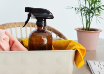 prirodni deterdžent