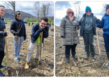 Velikogorički Šumoborci odradili još jednu akciju pošumljavanja kod Petrinje