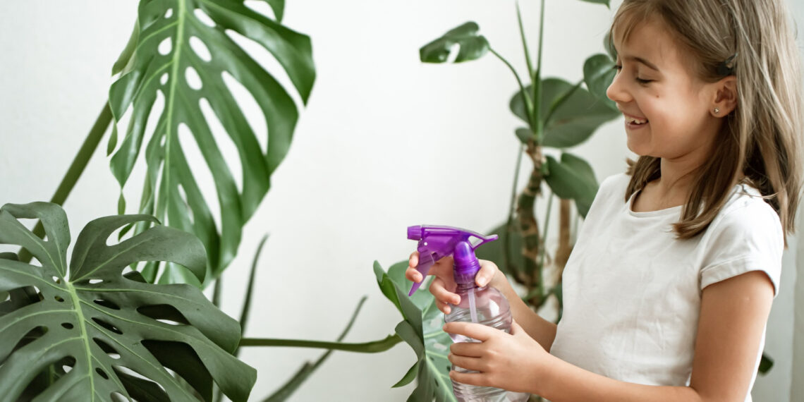 Sobna biljka egzotičnih listova: Sve što trebaš znati o uzgoju monstere