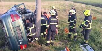 brzina i alkohol