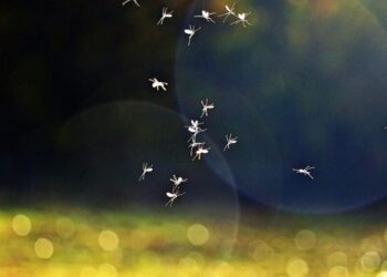 akcija špricanja komaraca