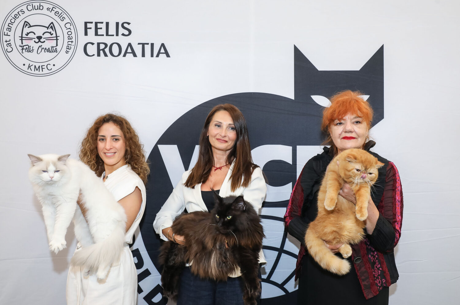 izložba mačaka