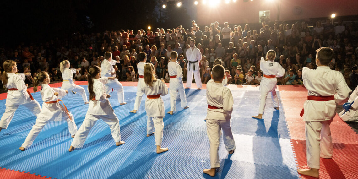 borilačkih sportova