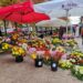 prodavače cvijeća