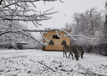 Zimski edukativni program