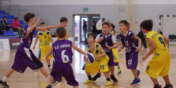 Mini basket