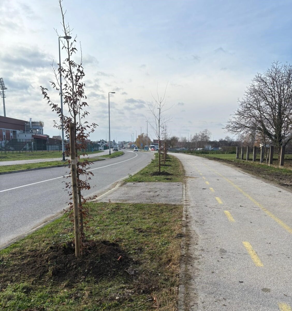 posađena nova stabla