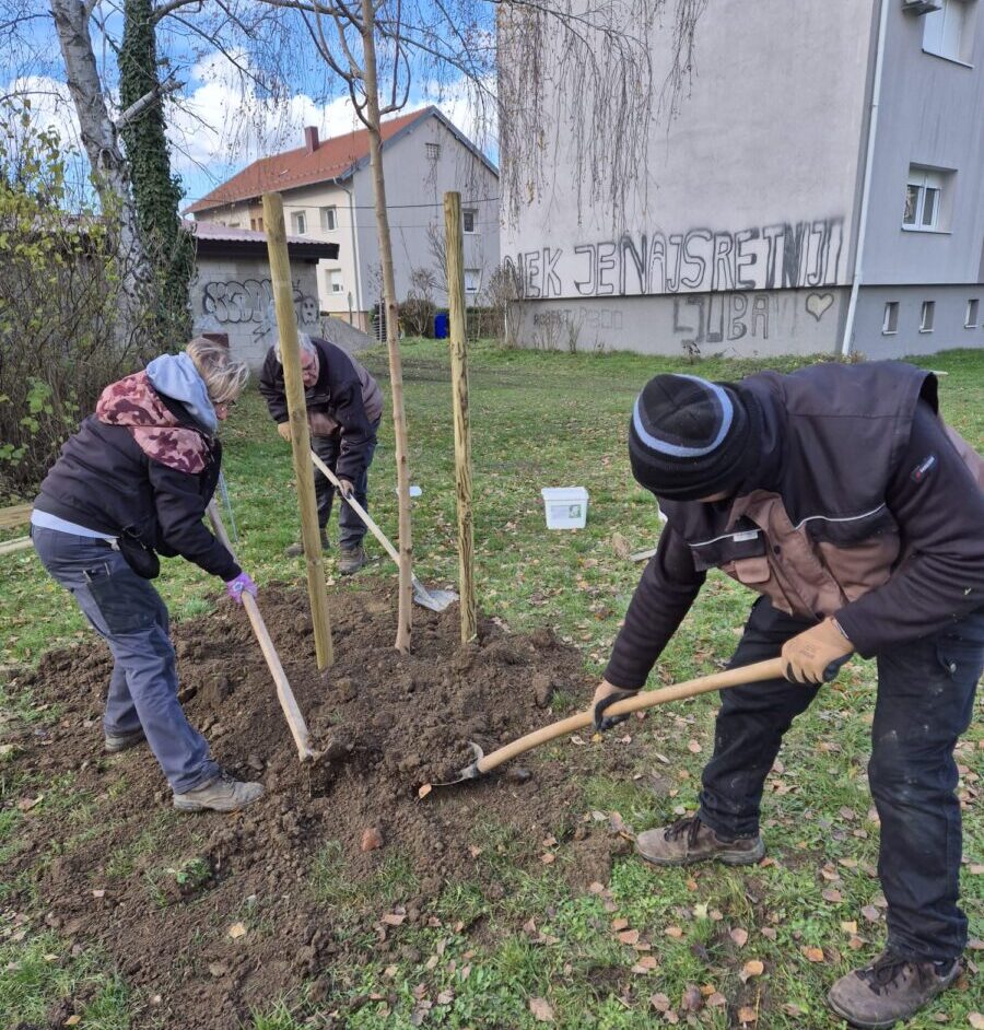 posađena nova stabla