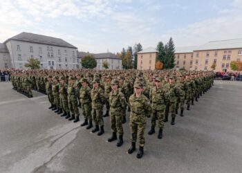 djelatnu vojnu službu