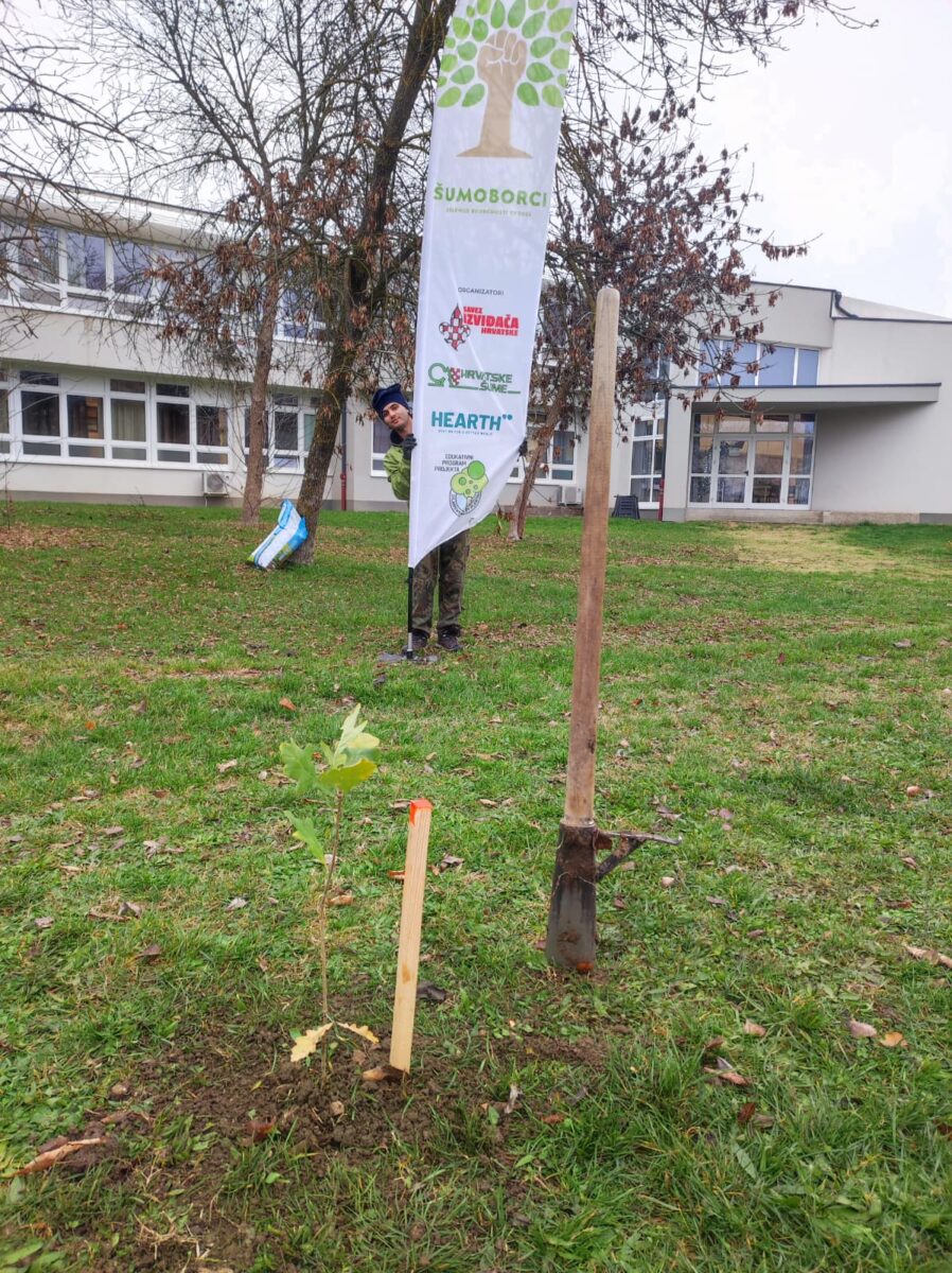 sadnica drveća