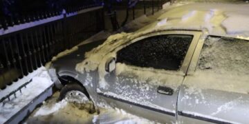 zabio u dvorišnu ogradu