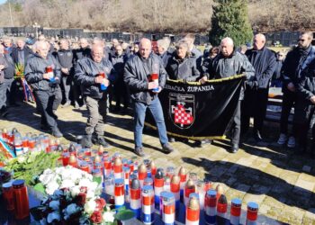 Damira Tomljanovića Gavrana