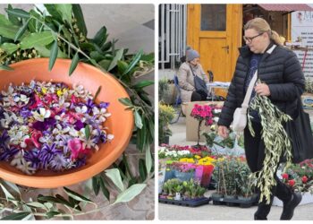 Cvjetnica u Hrvatskoj: Od blagoslova grančica do umivanja u cvijeću