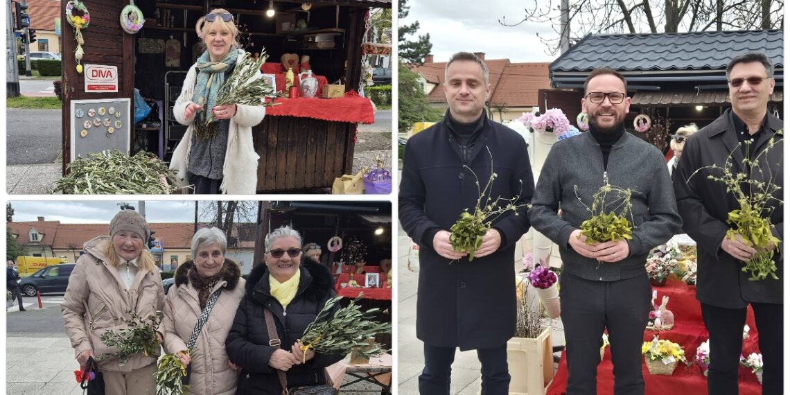 Maslinove grančice i drijenak