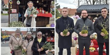Maslinove grančice i drijenak