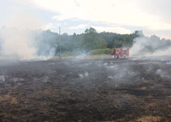 spaljivanje biljnog otpada