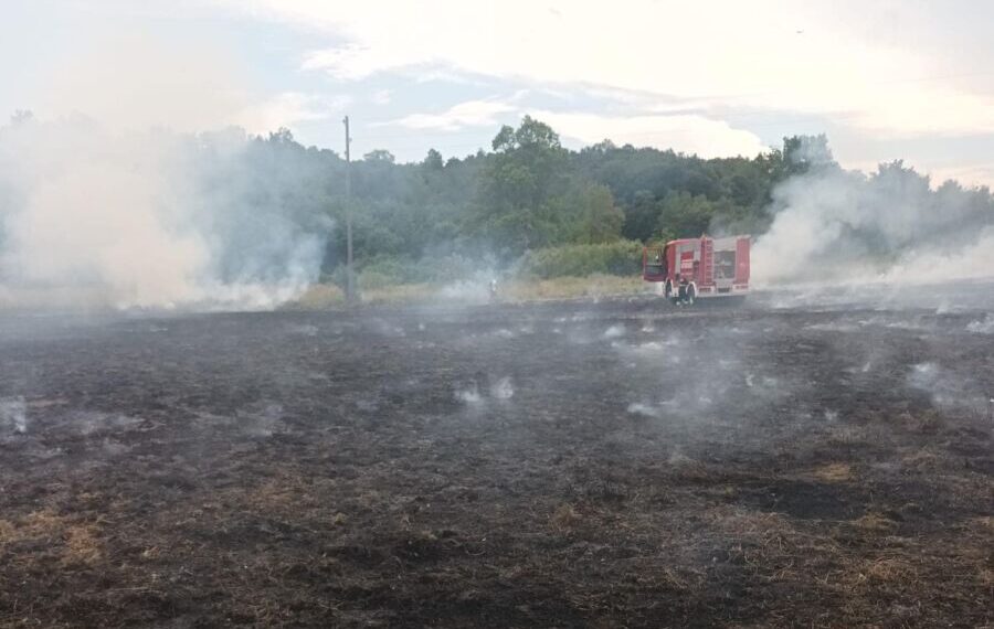 spaljivanje biljnog otpada