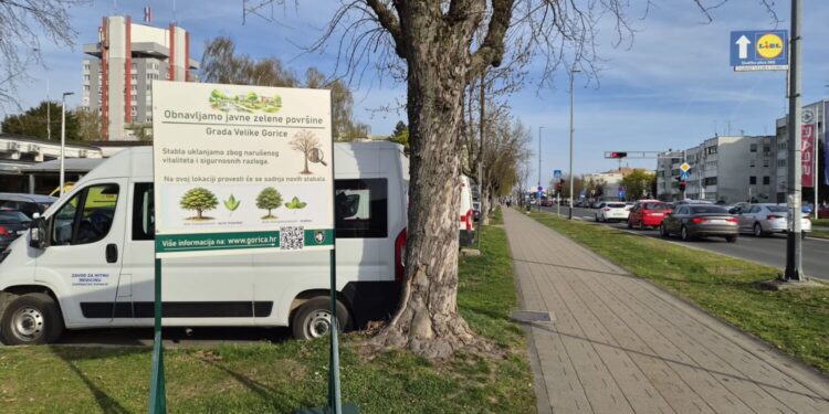 U Ulici Matice hrvatske