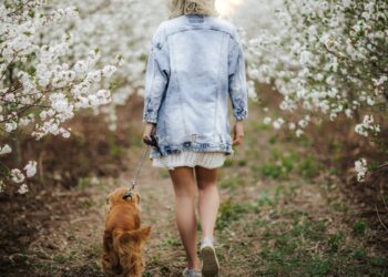 preventivne pakete usluga