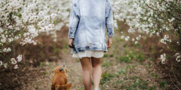 preventivne pakete usluga