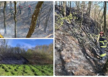 Spaljivanje biljnog otpada uzrokuje požare: Vatrogasci sve češće na terenu