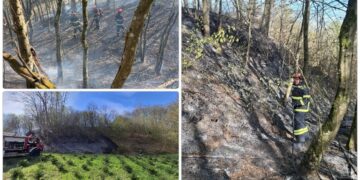 Spaljivanje biljnog otpada uzrokuje požare: Vatrogasci sve češće na terenu