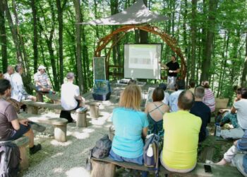 Festival energije
