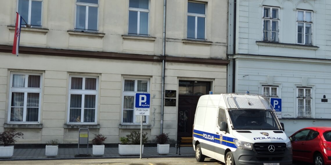 mladi vozač