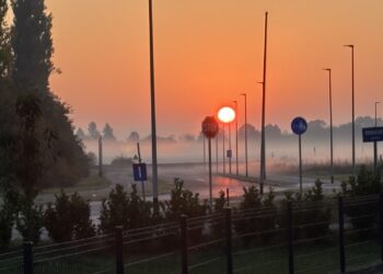 sunce i magla