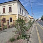 tretiranje korova