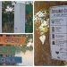 Čič Beach nastavlja uređivati jezero Čiče: Postavljene edukativne ploče