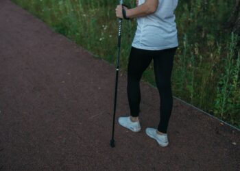 nordijskog hodanja