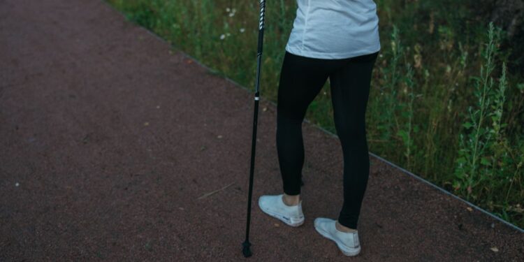 nordijskog hodanja